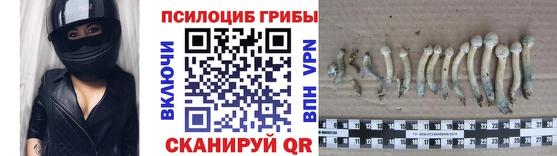 Псилоцибиновые грибы MAGIC MUSHROOMS  Купить где  Калачинск 
